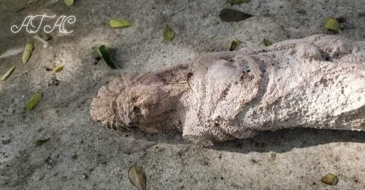 figura prehispánica femenina en Soto la Marina